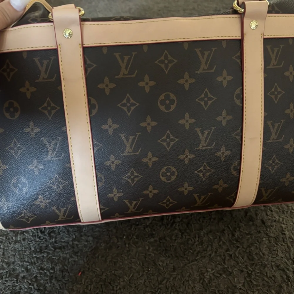Louis Vuitton dog carrier - Picture 7 of 8